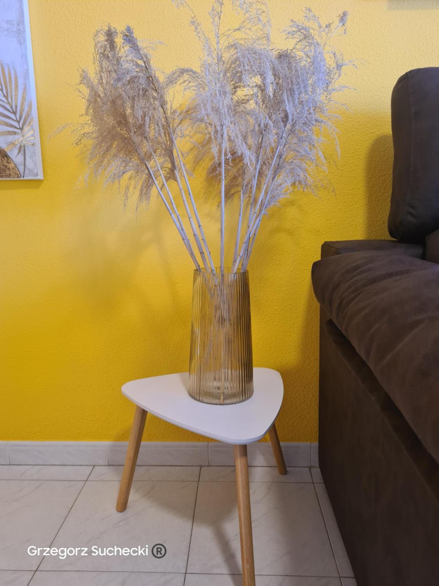 Apartamento Parquemar Daire La Mata  Dış mekan fotoğraf